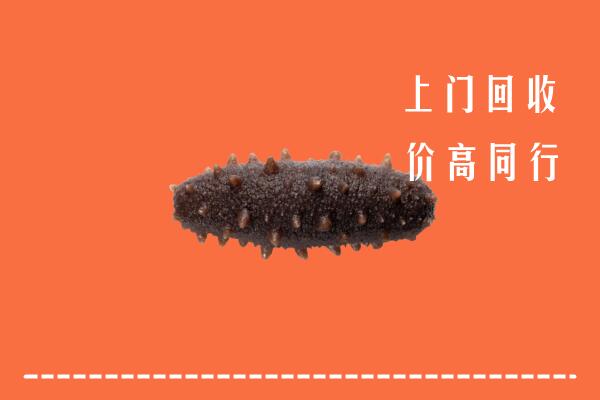 高价求购：雨花台区回收海参